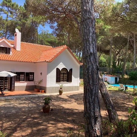 Moradia No Pinhal Com Piscina - Espaco E Privacidade Para As Suas Ferias! Sintra Exterior foto