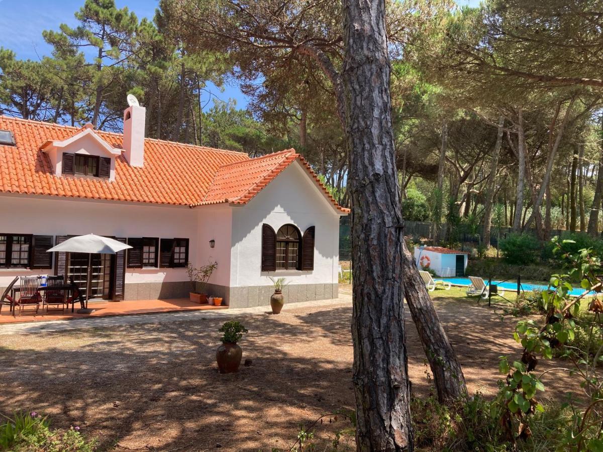 Moradia No Pinhal Com Piscina - Espaco E Privacidade Para As Suas Ferias! Sintra Exterior foto