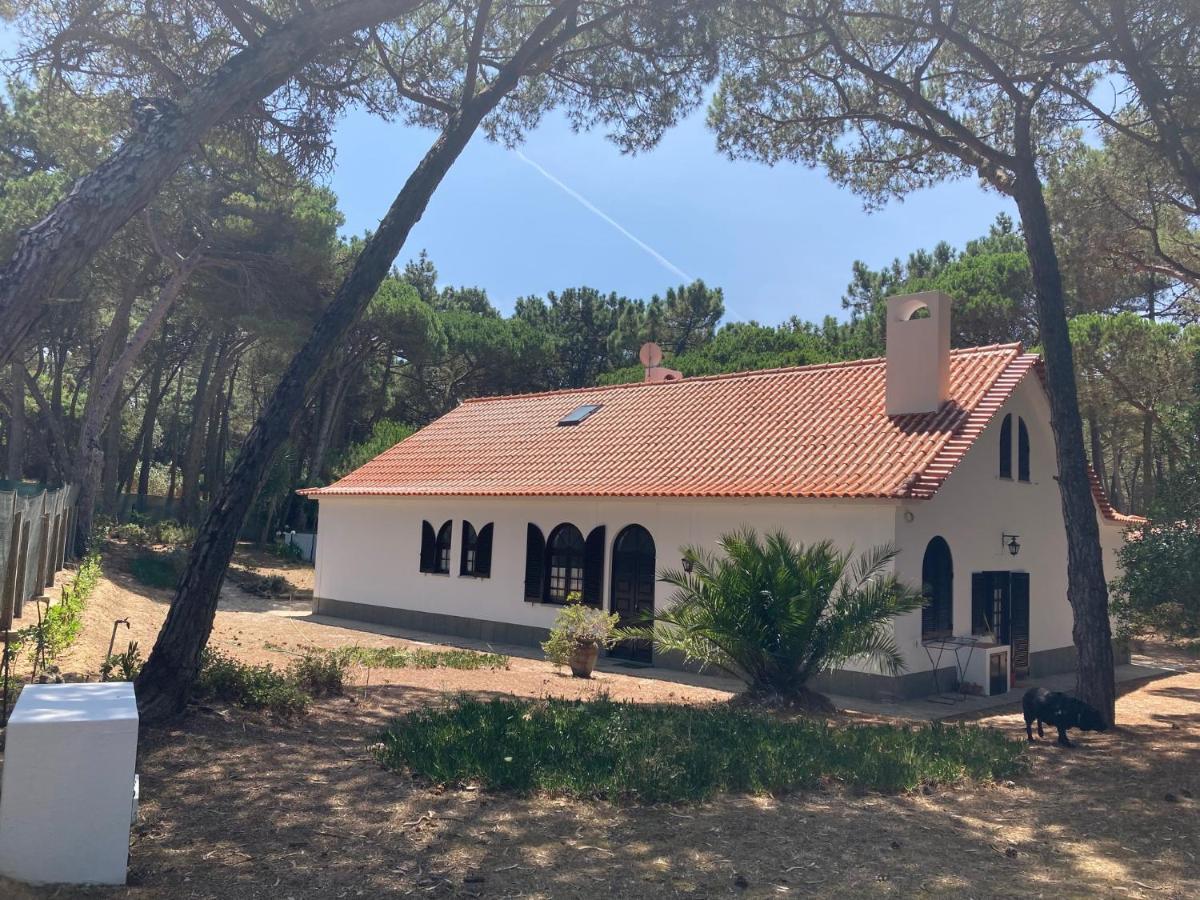 Moradia No Pinhal Com Piscina - Espaco E Privacidade Para As Suas Ferias! Sintra Exterior foto